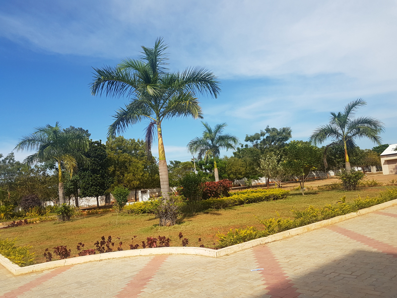 Campus View